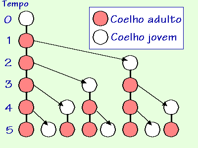 Coelhos
